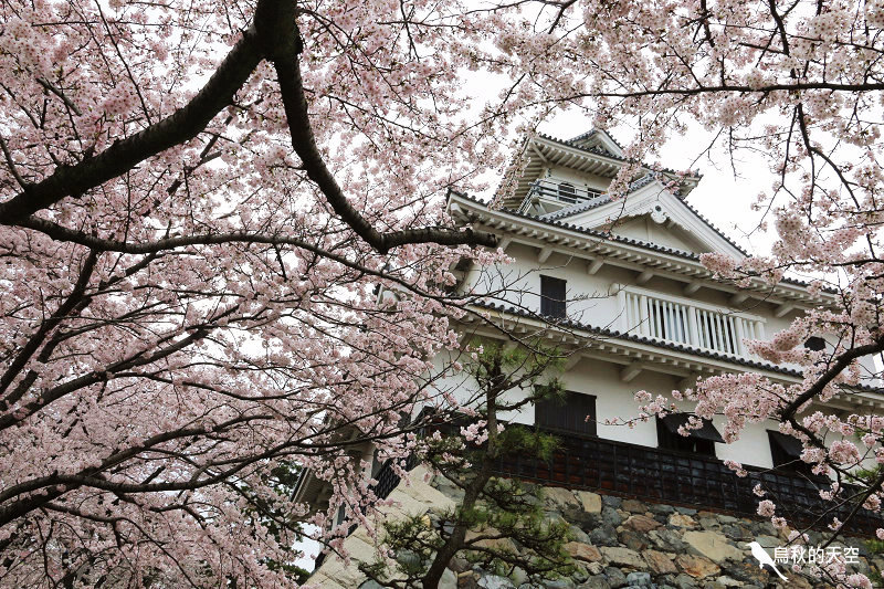 IMG_0009.jpg IMG_0009.jpg