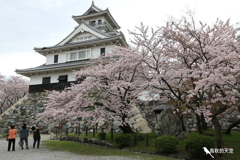 IMG_0016.jpg IMG_0016.jpg