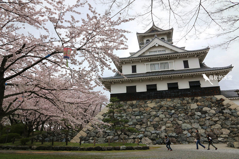 IMG_0012.jpg IMG_0012.jpg