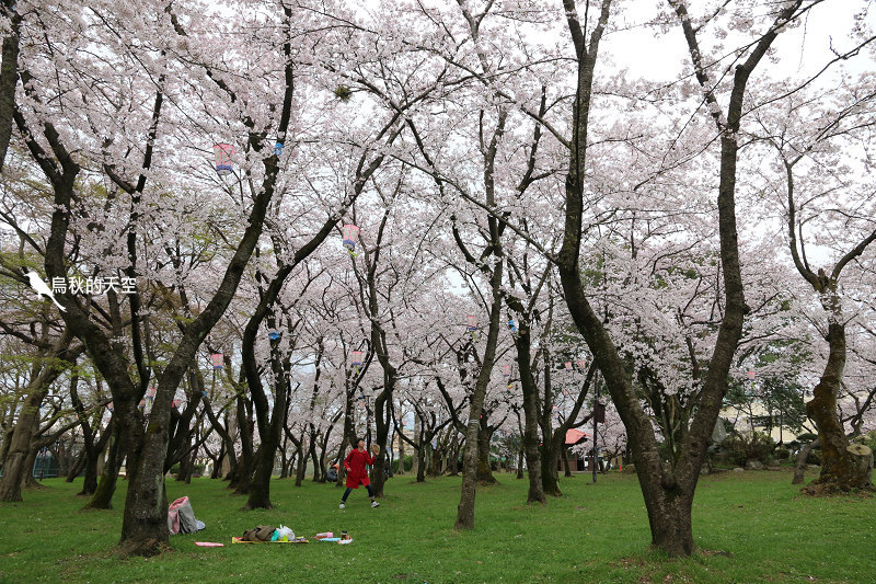 IMG_9974.jpg IMG_9974.jpg