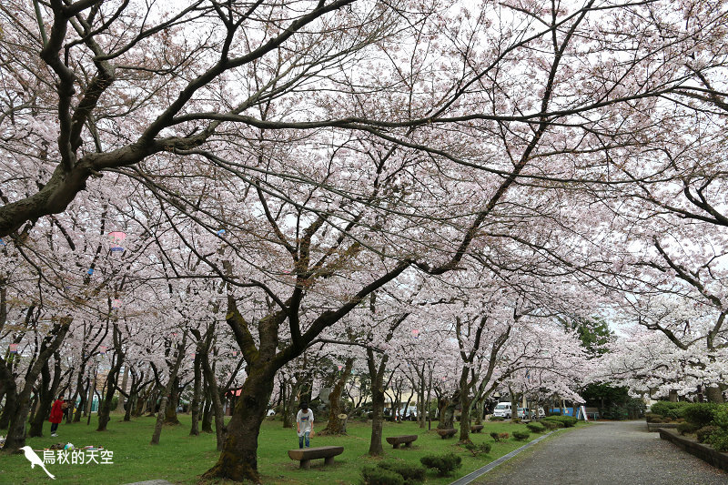 IMG_9981.jpg IMG_9981.jpg