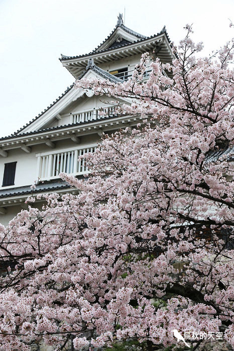 IMG_0019.jpg IMG_0019.jpg