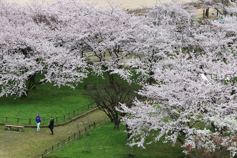 IMG_0043.jpg IMG_0043.jpg