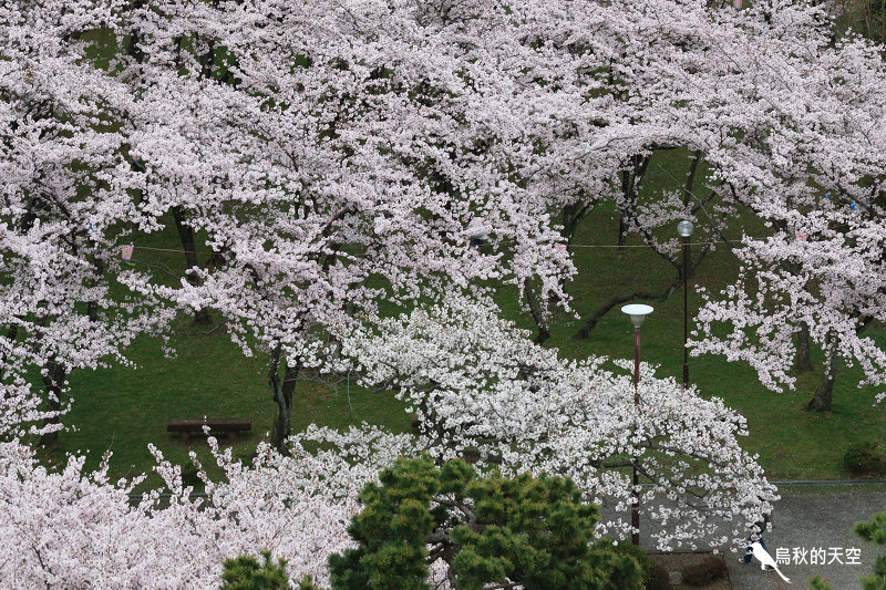 IMG_0052.jpg IMG_0052.jpg