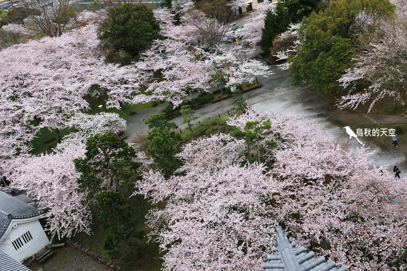 IMG_0038.jpg IMG_0038.jpg