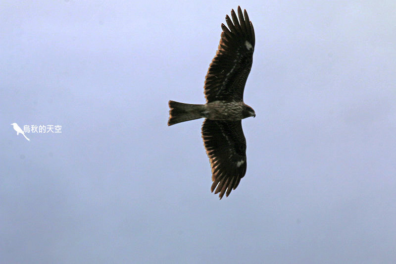 IMG_0056.jpg IMG_0056.jpg