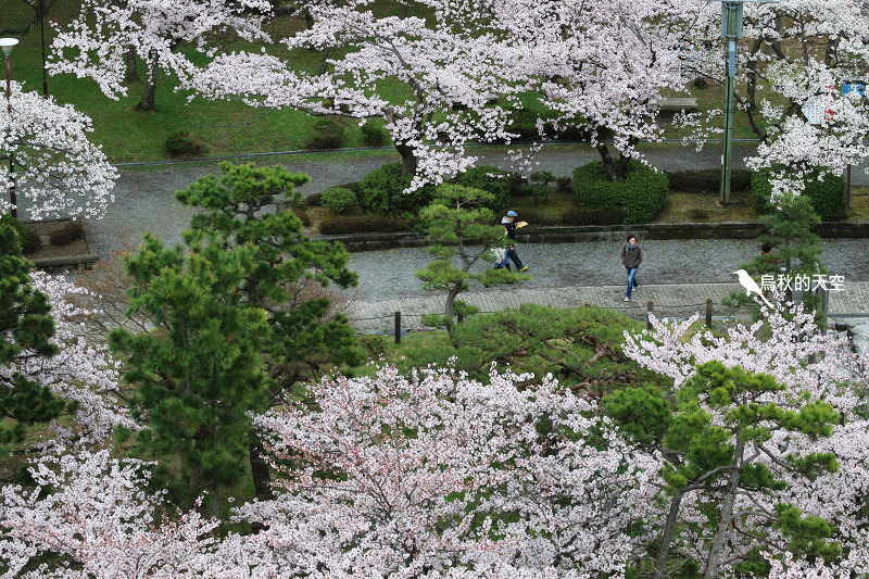 IMG_0051.jpg IMG_0051.jpg