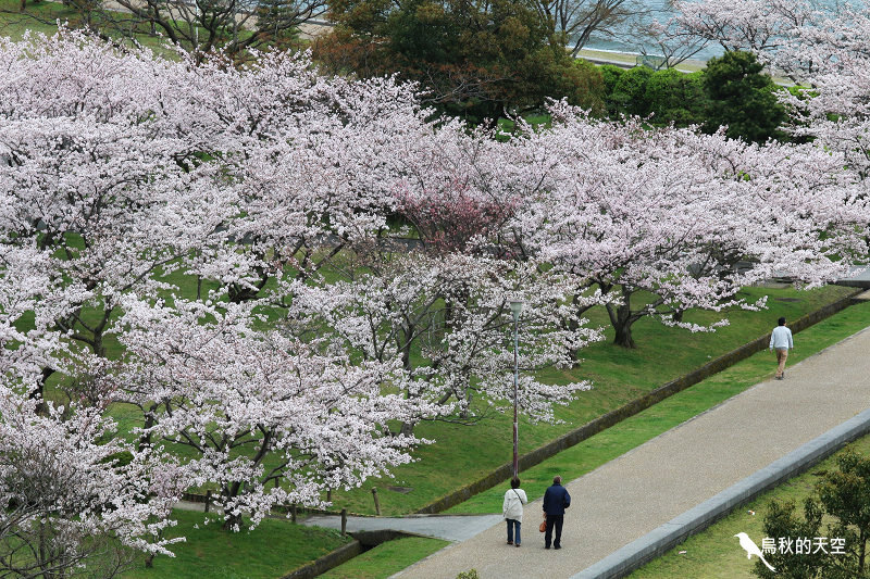 IMG_0057.jpg IMG_0057.jpg