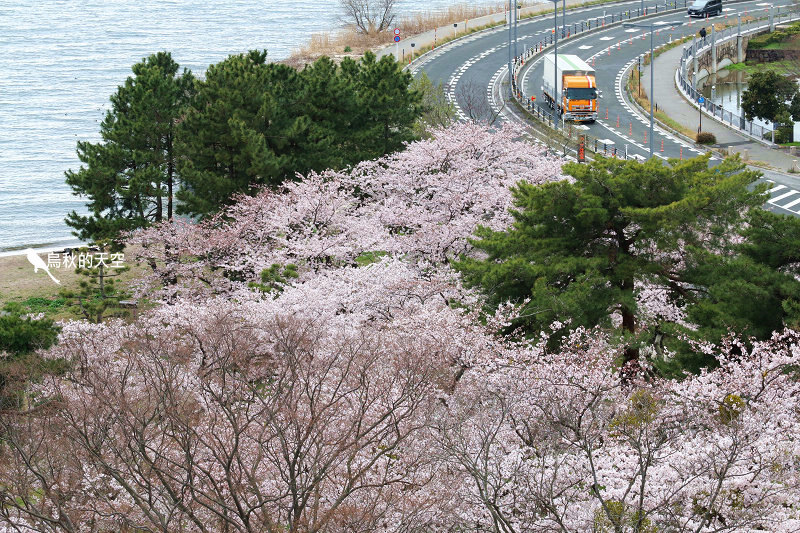 IMG_0061.jpg IMG_0061.jpg