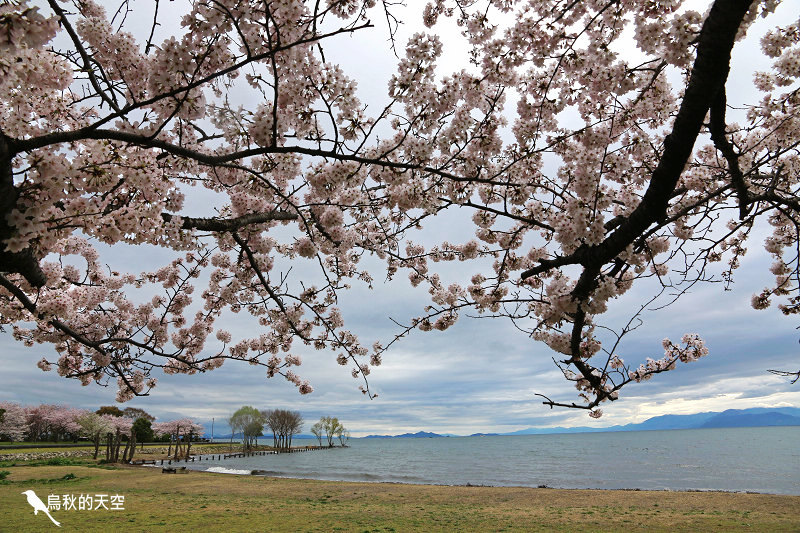 IMG_0087.jpg IMG_0087.jpg