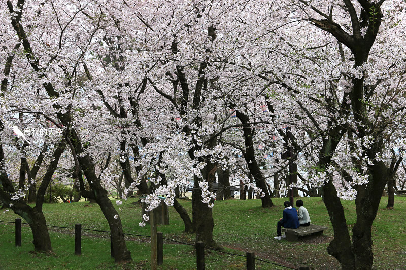 IMG_0073.jpg IMG_0073.jpg