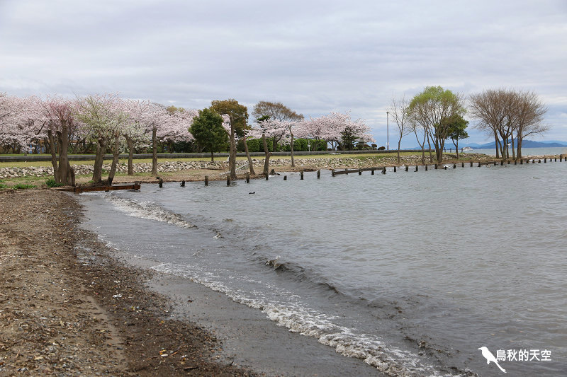 IMG_0100.jpg IMG_0100.jpg