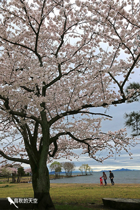 IMG_0116.jpg IMG_0116.jpg