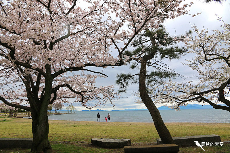 IMG_0110.jpg IMG_0110.jpg