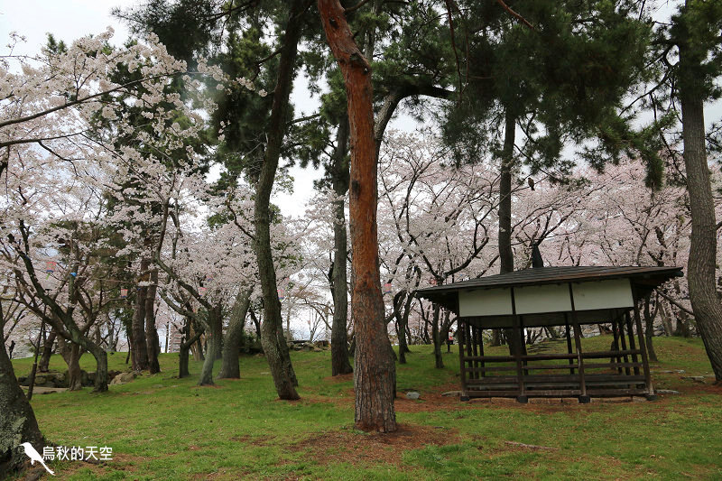 IMG_0118.jpg IMG_0118.jpg