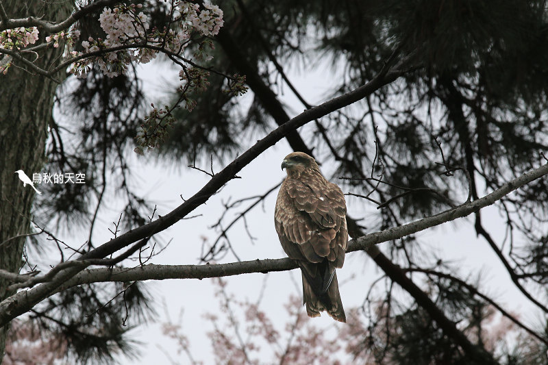 IMG_0120.jpg IMG_0120.jpg