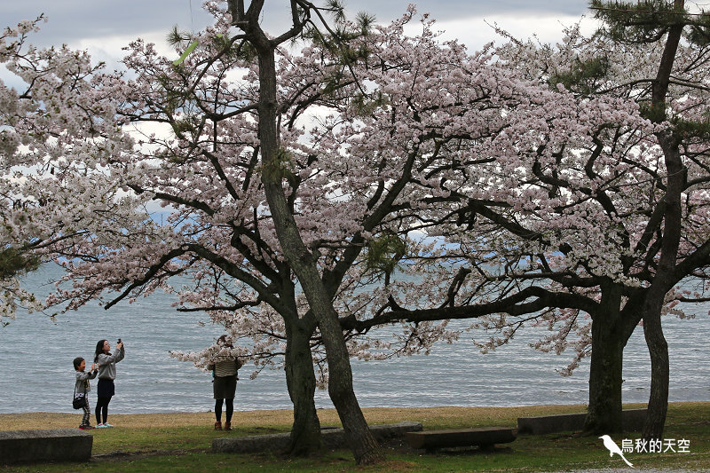 IMG_0129.jpg IMG_0129.jpg