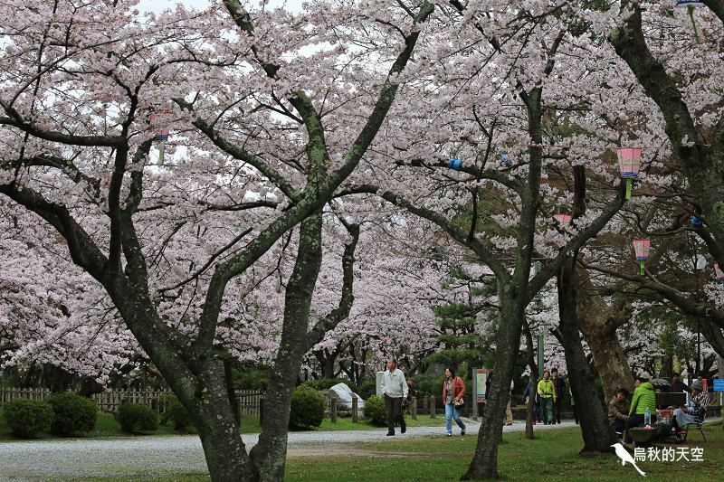 IMG_0130.jpg IMG_0130.jpg