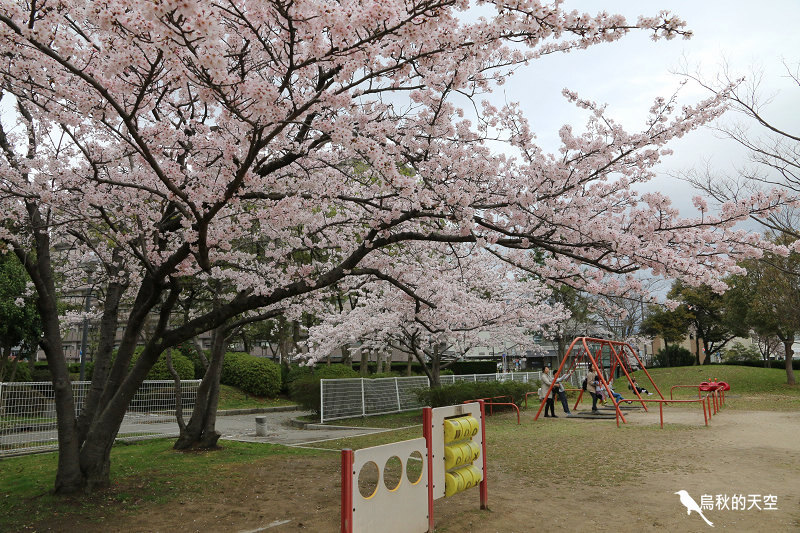 IMG_9953.jpg IMG_9953.jpg