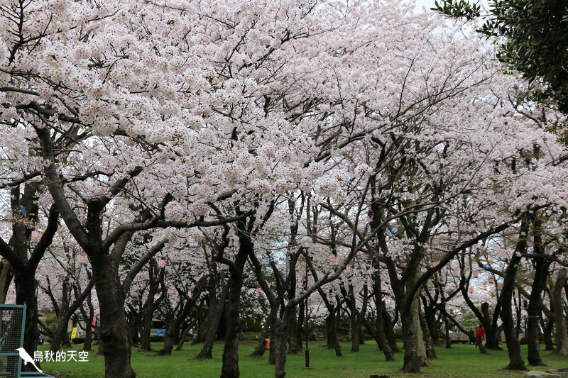 IMG_9955.jpg IMG_9955.jpg