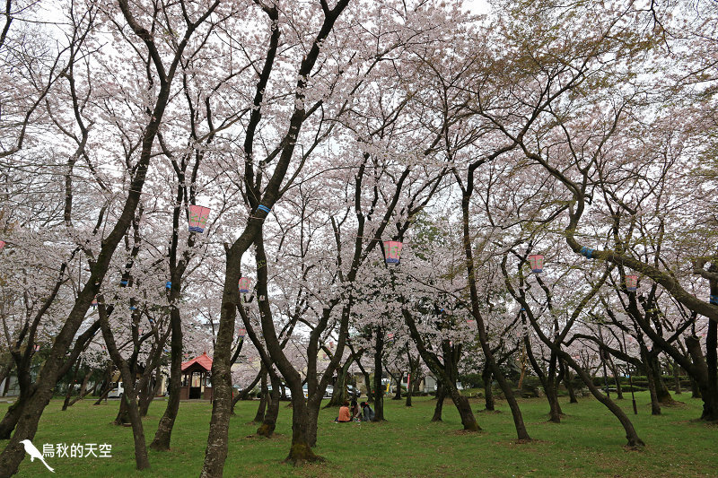 IMG_9967.jpg IMG_9967.jpg