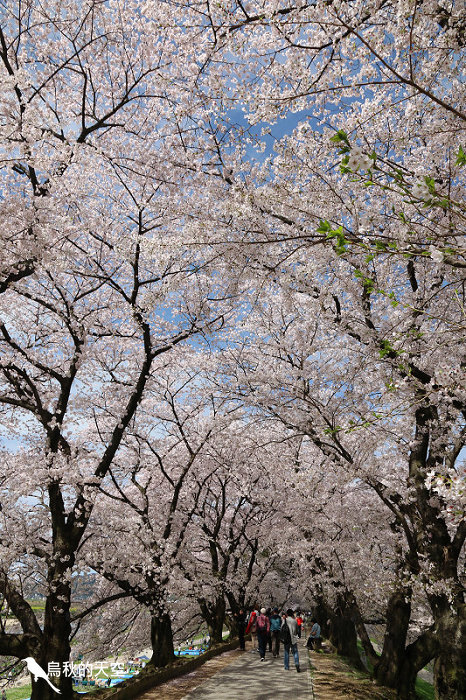 IMG_6867.jpg IMG_6867.jpg