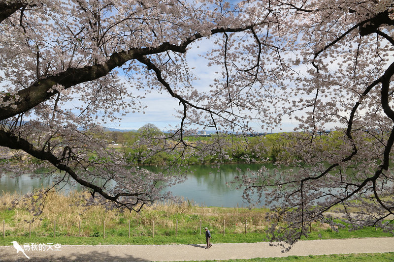 IMG_6863.jpg IMG_6863.jpg