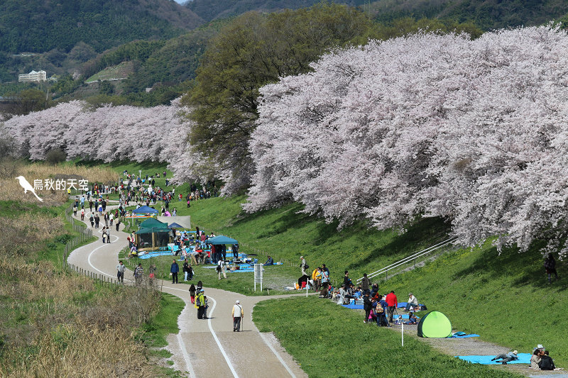 IMG_6880.jpg IMG_6880.jpg