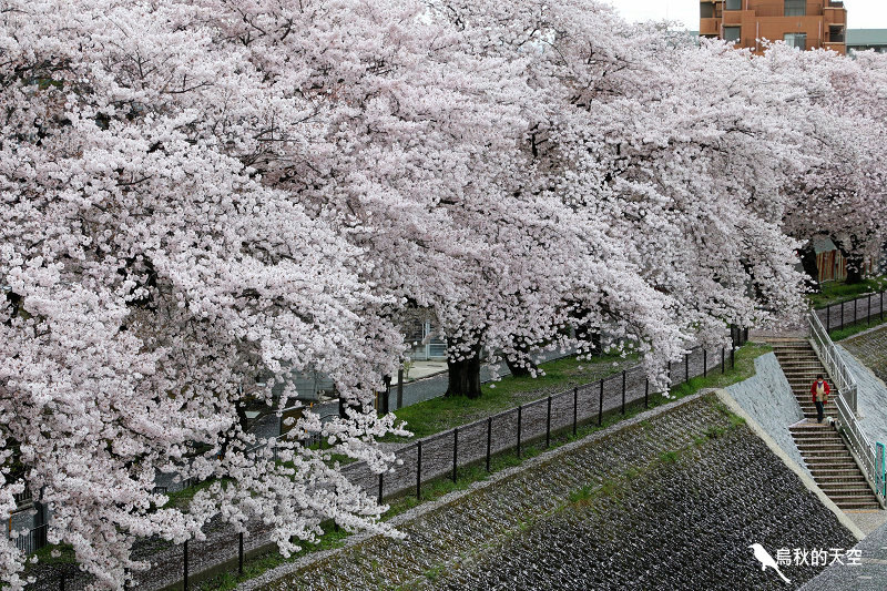 IMG_6437.jpg IMG_6437.jpg