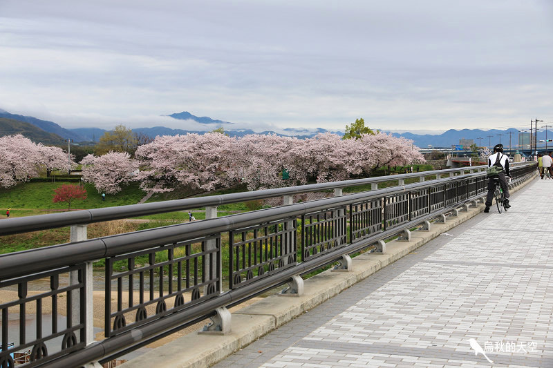 IMG_6472.jpg IMG_6472.jpg