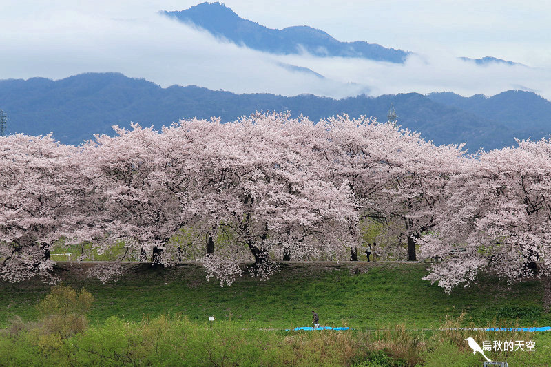 IMG_6465.jpg IMG_6465.jpg