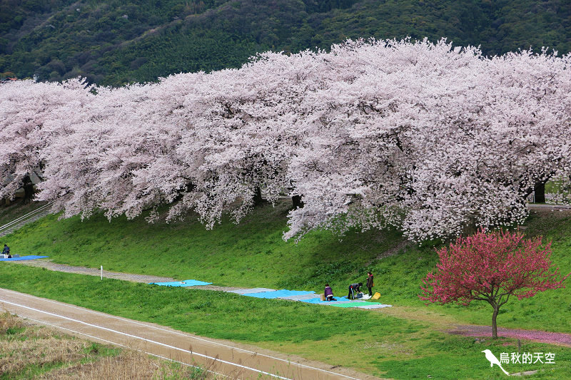 IMG_6481.jpg IMG_6481.jpg