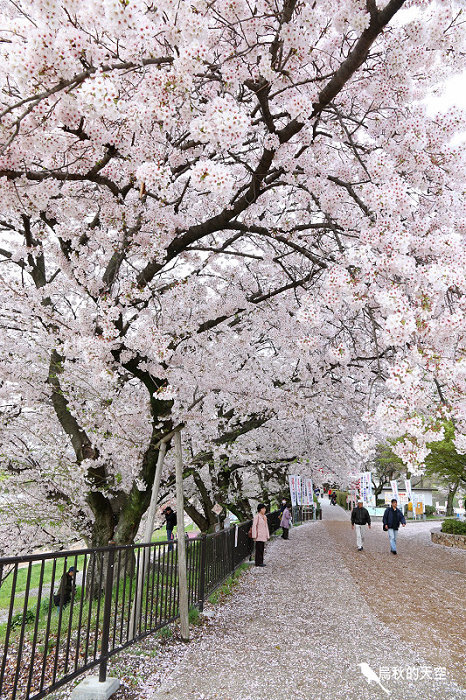 IMG_6501.jpg IMG_6501.jpg