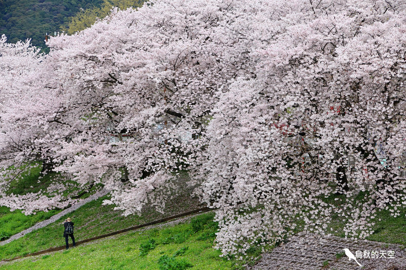 IMG_6484.jpg IMG_6484.jpg