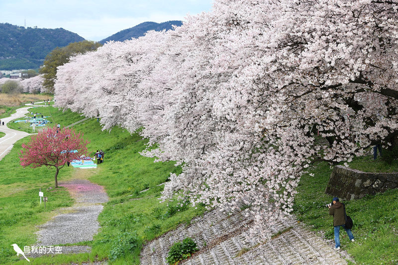 IMG_6496.jpg IMG_6496.jpg