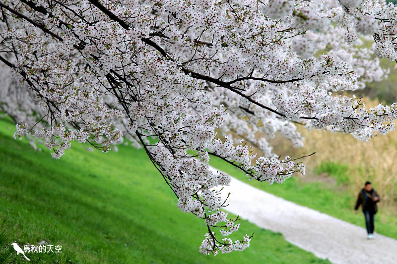 IMG_6533.jpg IMG_6533.jpg