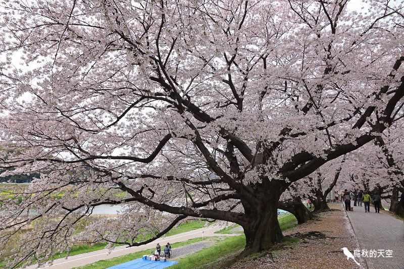 IMG_6517.jpg IMG_6517.jpg