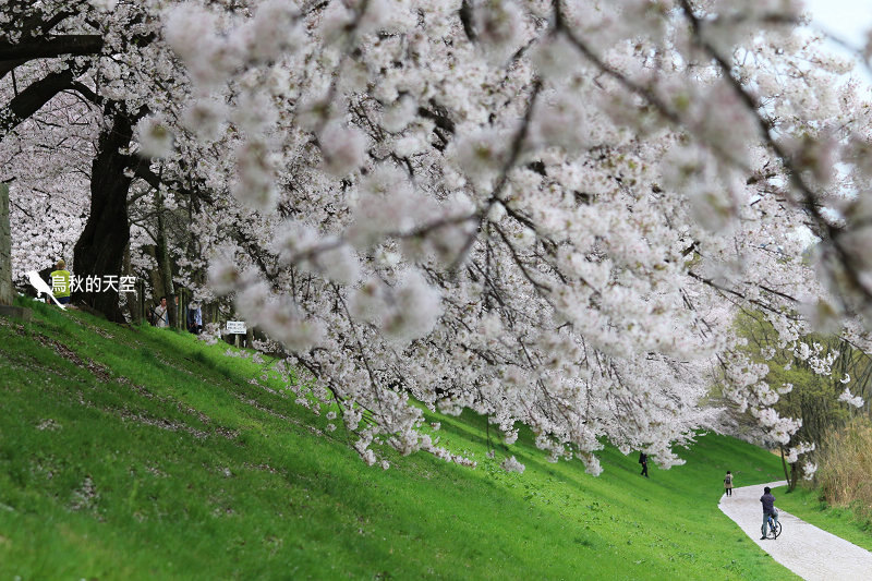 IMG_6576.jpg IMG_6576.jpg