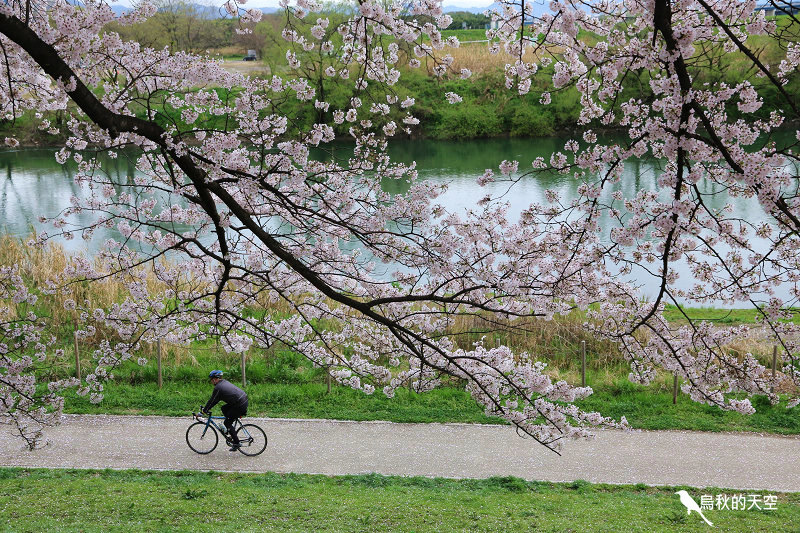 IMG_6595.jpg IMG_6595.jpg