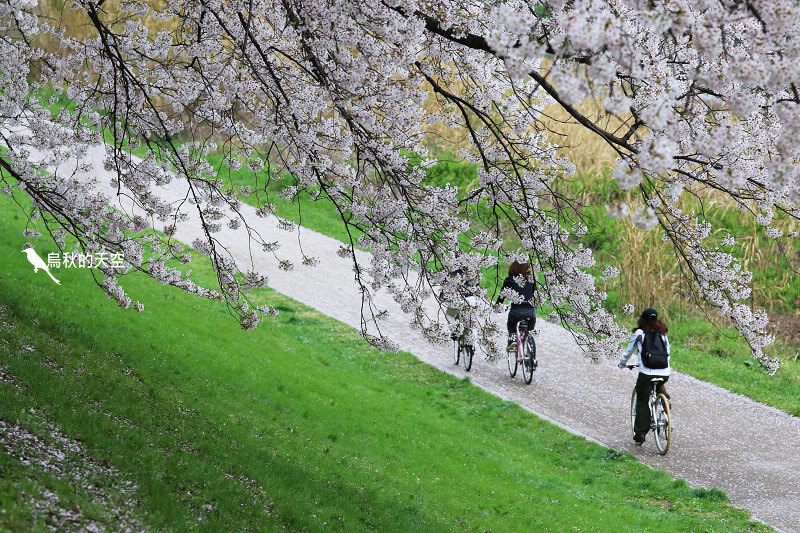 IMG_6587.jpg IMG_6587.jpg