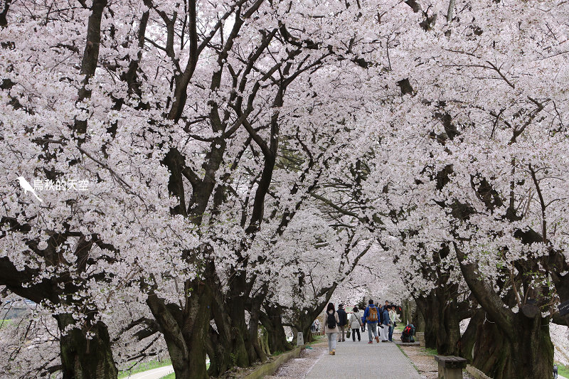 IMG_6599.jpg IMG_6599.jpg