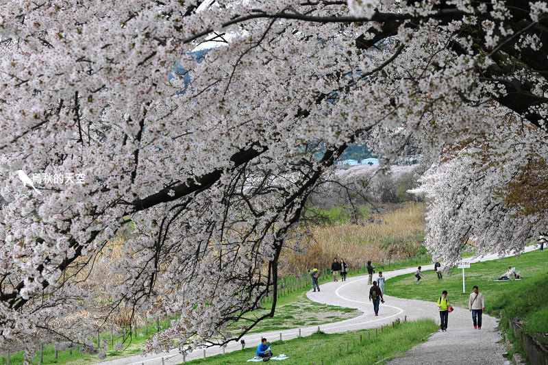 IMG_6619.jpg IMG_6619.jpg