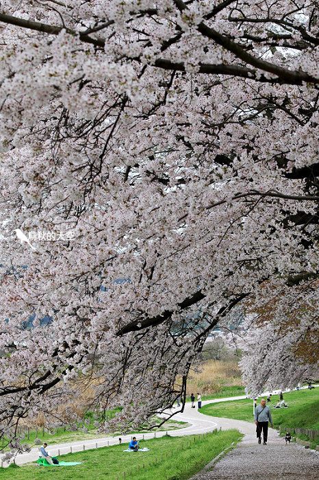 IMG_6615.jpg IMG_6615.jpg