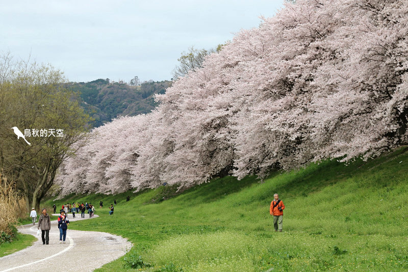 IMG_6683.jpg IMG_6683.jpg