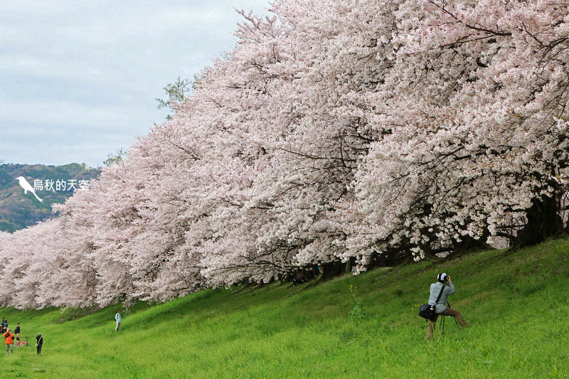 IMG_6671.jpg IMG_6671.jpg