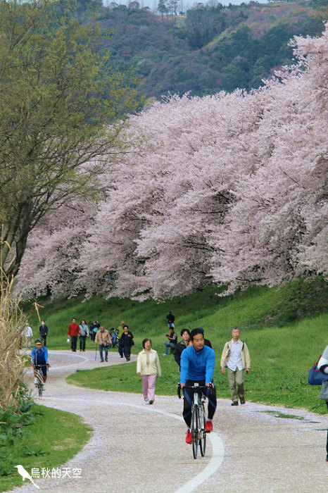 IMG_6694.jpg IMG_6694.jpg