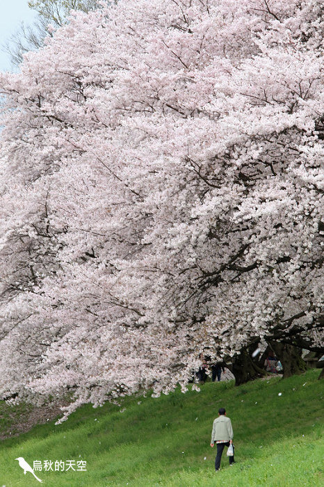 IMG_6712.jpg IMG_6712.jpg