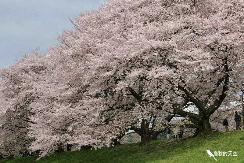 IMG_6739.jpg IMG_6739.jpg