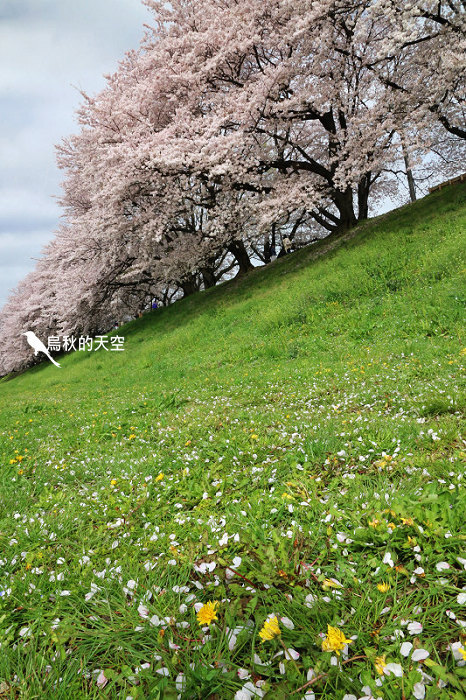 IMG_6731.jpg IMG_6731.jpg