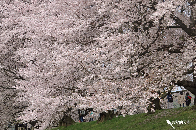 IMG_6741.jpg IMG_6741.jpg